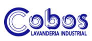 Lavandería que confía en IHL Consulting para reducir consumo energético y mejorar la eficiencia
